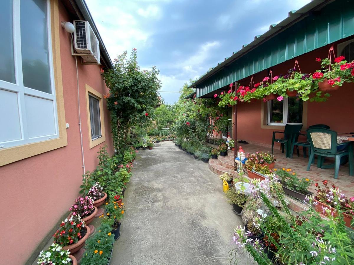 Sud ,,Antal I Olga,, Panzió Székelykeve Kültér fotó