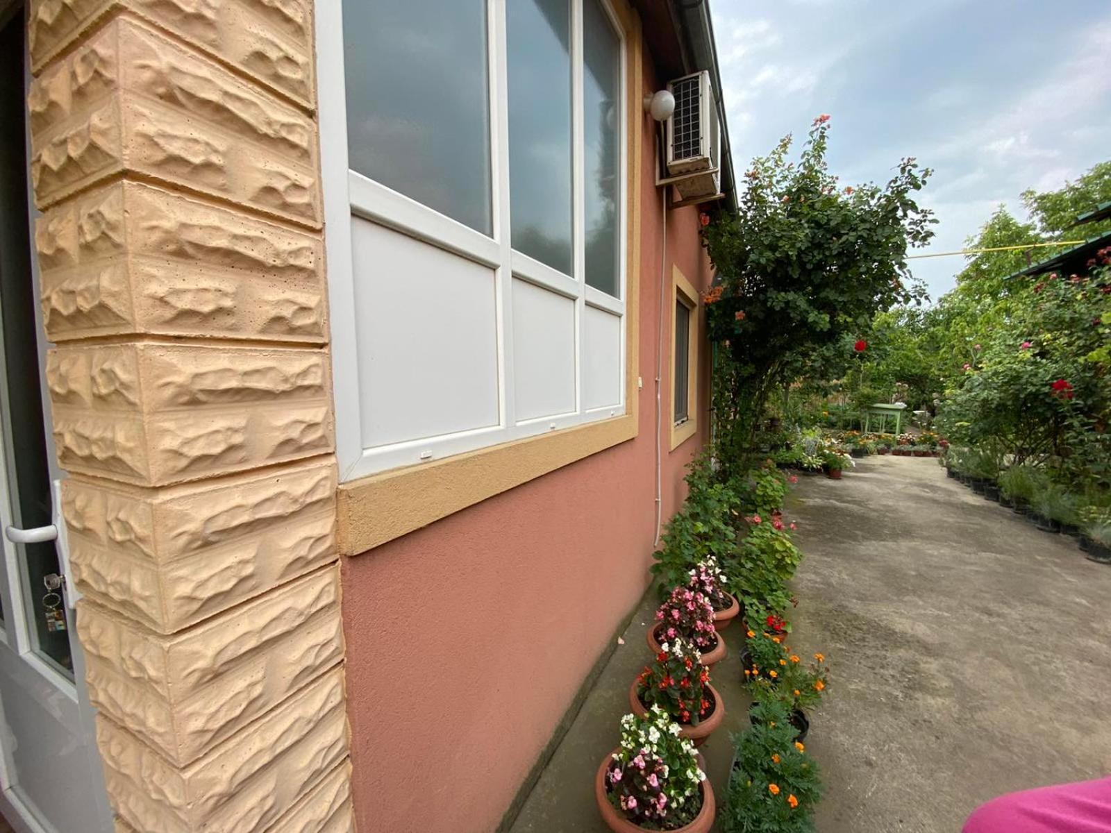 Sud ,,Antal I Olga,, Panzió Székelykeve Szoba fotó